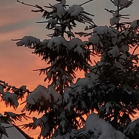 And Martuljk Hiša za goste