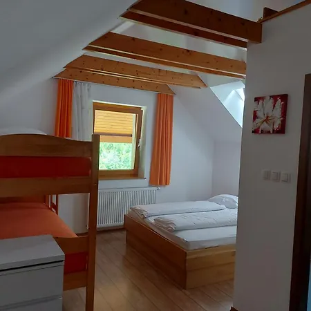 Hiša za goste And Martuljk 3*