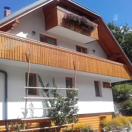Gasthof And Martuljk 3*