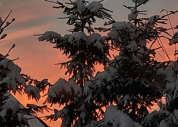 And Martuljk Hiša za goste