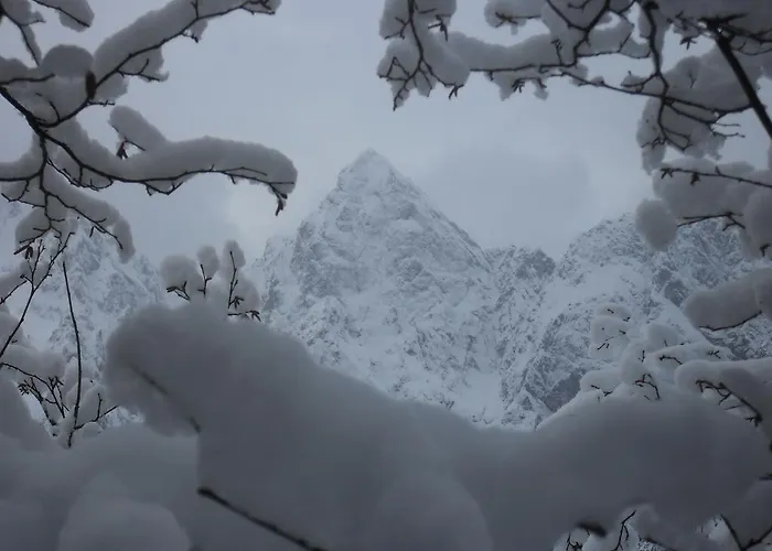 Hiša za goste And Martuljk 3*